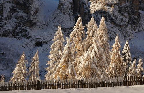 Chalet Cogolara - Foto 65