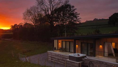 The Lookout - Photo 3