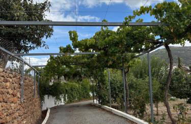 El Domingo en el Valle - Foto 12