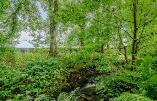 7 Bed in Campbeltown 83009 - Foto 25