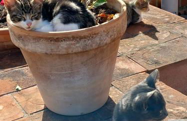 Agriturismo Gli Archi - Foto 69