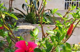 Casa di Marco Independent apartment with spectacular view - Foto 14