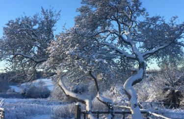 The Stable with cozy logburner - Foto 39