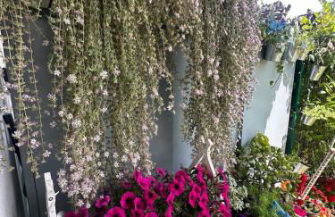 Green Home, Milano-Cortina, Assago,IEO, Humanitas - Photo 14