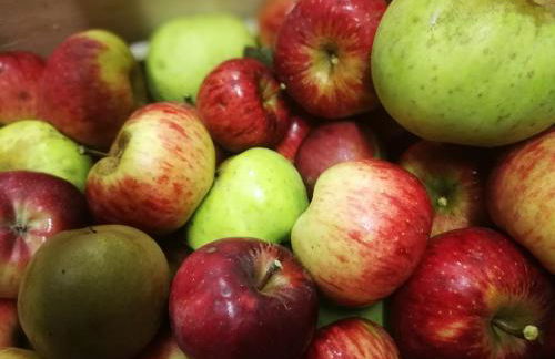 Agriturismo Alle Baite - Foto 70