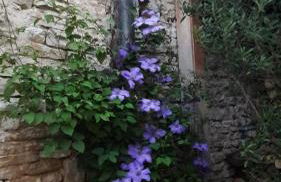 La Cuvée-Saint-Georges - Foto 15