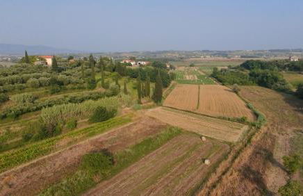 Podere Gian Battaglia - Foto 43