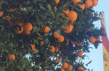 Casa Blanca, Acequias, Lecrin valley, Granada - Foto 20