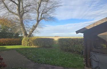 Krosse Krabbe - Foto 35