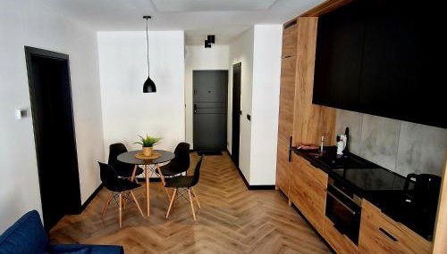 Apartament Książ - Foto 4, stove, pet friendly