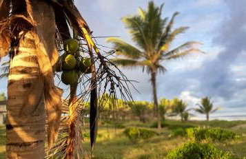 Chalé Beira-Mar com Piscina Privativa e Varanda em Barra do Jacuípe - Foto 68