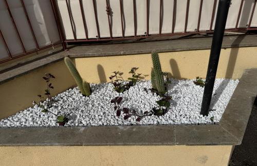 Sasso Grosso House - Foto 29