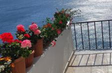 Apartman David - Foto 12