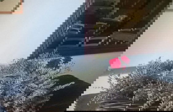 Agriturismo Bassarì - Photo 29