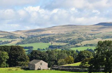 Stay Lambing Live - Photo 4