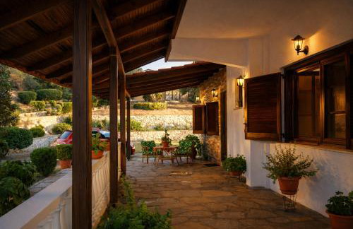 Blue Dandelion - Photo 8