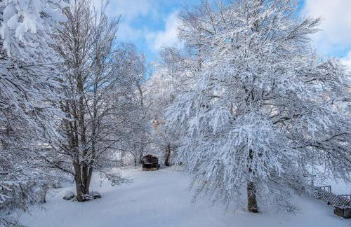 Haus Doktor Saeltzer - Foto 7