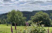 Byre Cottage Dulverton - Foto 25