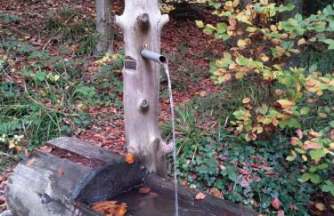 Ferienwohnung am Sulzbach - Foto 11