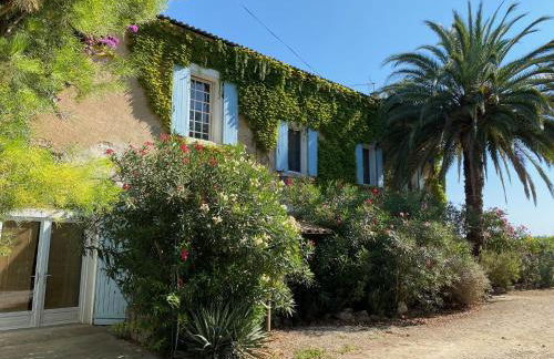 Mas Vigneron - Foto 6