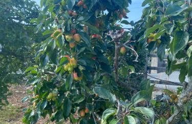 Spelga View - Foto 72