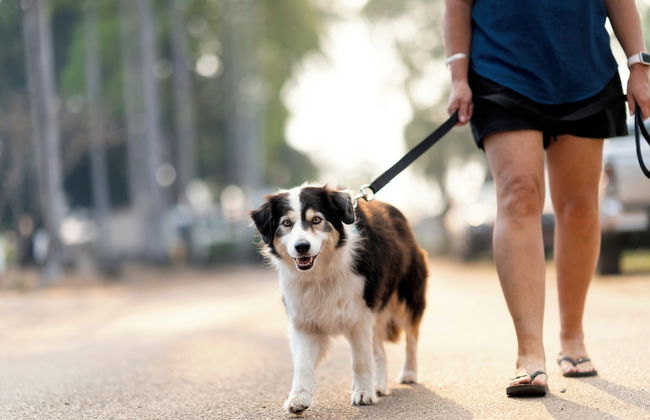 Darwin FreeSpirit Resort - Foto 64