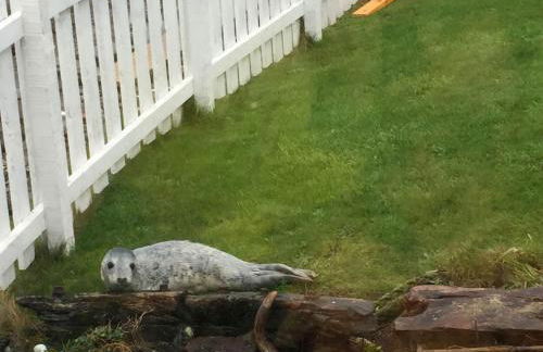 Pew With a View - Seafront Cottages - Foto 28