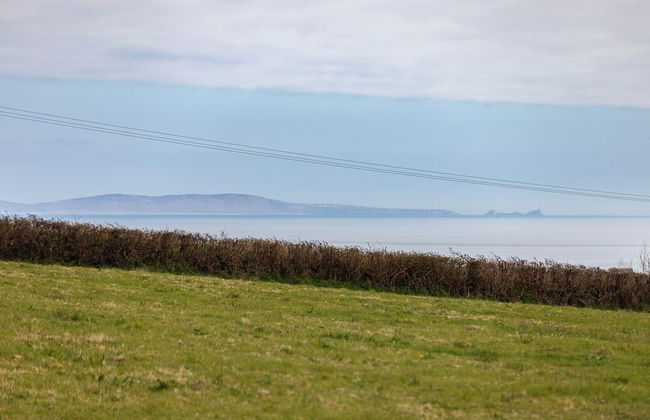 Willows Rest - 1 Bed Shepherd's Hut - Pentlepoir - Foto 49