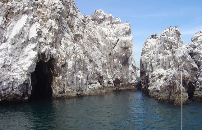 Tour por Isla de las Piedras - Foto 3