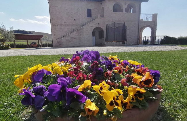 AGRITURISMO SAN NICOLINO - Photo 25