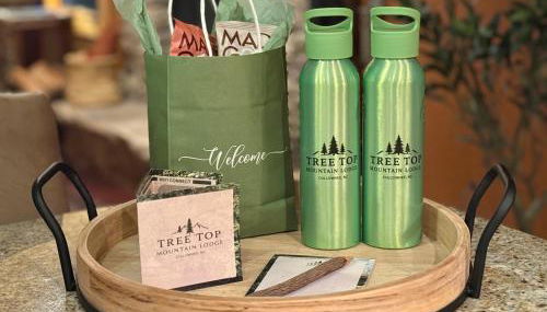 Tree Top Mountain Lodge - Photo 4