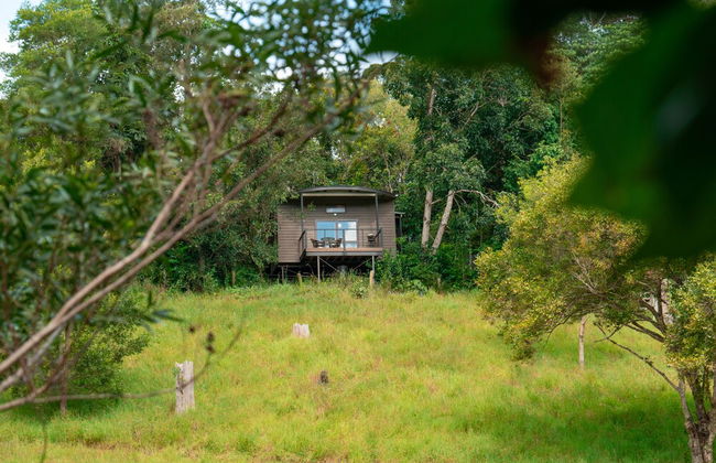 Whispering Valley Cottage Retreat - Photo 6