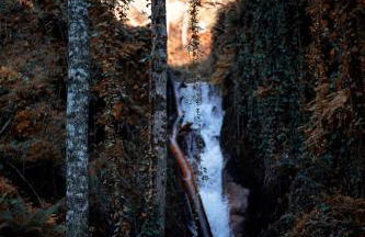 Casa da Merelhe - Foto 39