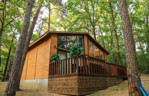 Bizon Village - Foto 63