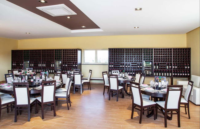 Visita à adega Quinta Monteiro de Matos - Foto 7