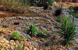 Guest House El Angelito de Olivas - Foto 13