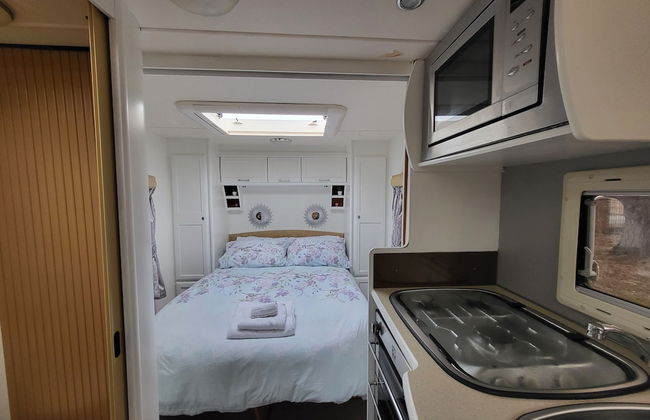 Glamping With Llamas - Foto 54