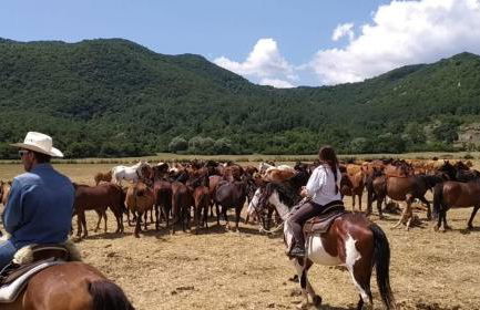 Il Borgo della Zittola - Foto 68