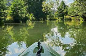 Tiny House mit eigener Sauna am Waldrand in der Fränkischen Schweiz - Foto 51