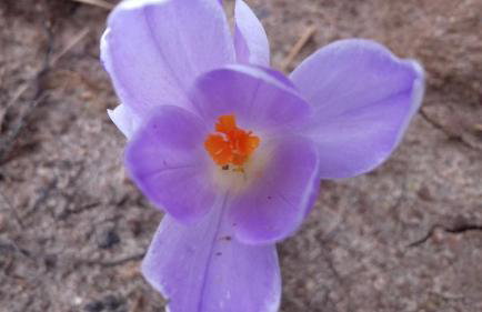 Sleepy Paradise Plitvice - Foto 26