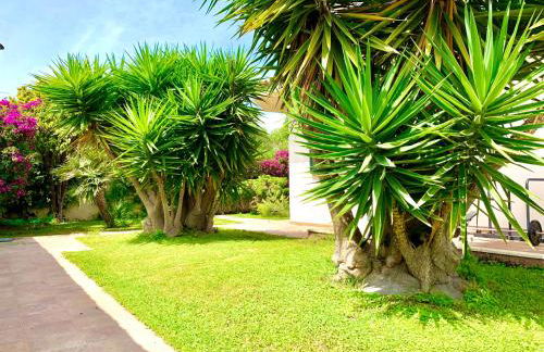 VIlla Sunlight Sardegna - Foto 32