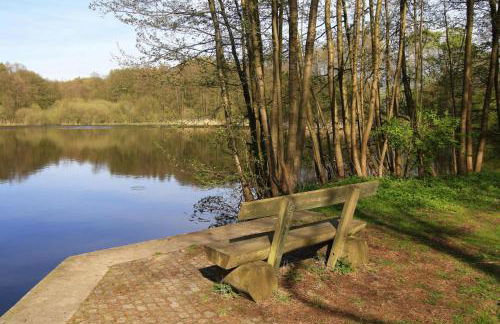 Ferienhaus mit Terrasse und Kaminofen in Parchim - Foto 32