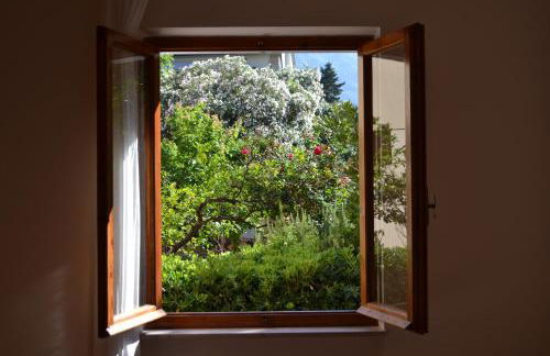 La Limonaia - Foto 23