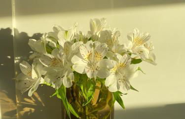 Cozy Flat with Stunning Views - Foto 36