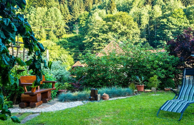Ferienwohnung mit Sauna in Schonbrunn Thuringen - Photo 20