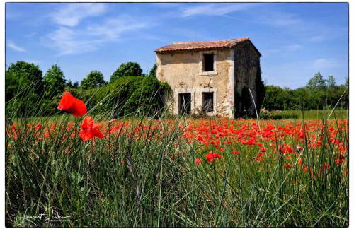 La Cerisaie, maison spacieuse en Lubéron - Foto 33