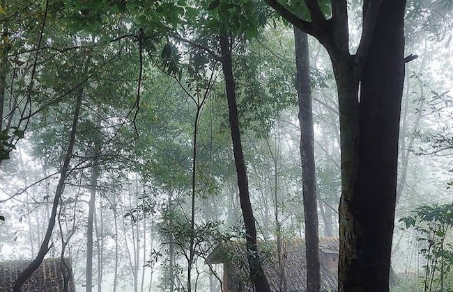 Doi Pumuen Lahu Homestay - Foto 28