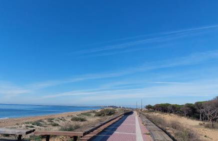 ESTUDIO CON PISCINA Y GARAJE A 100 Mtr DE LA PLAYA - Foto 28