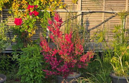 Vue exeptionnelle sur Nantes - Foto 9