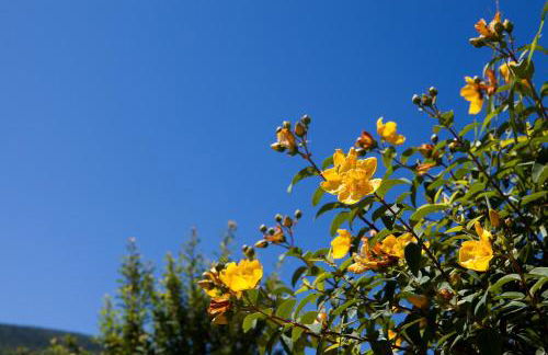 Relais Parco Del Subasio - Photo 60